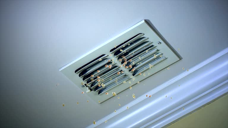 Best Air Vent Cleaning Services  in Putney, GA