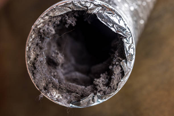 Best Residential Air Duct Cleaning  in Putney, GA